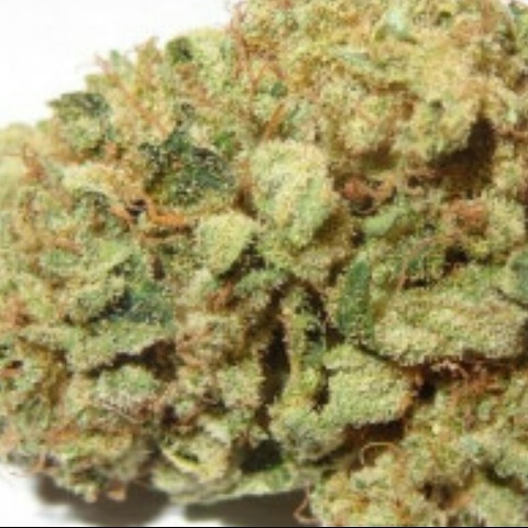 Blueberry cannabis strain effects and attributes 