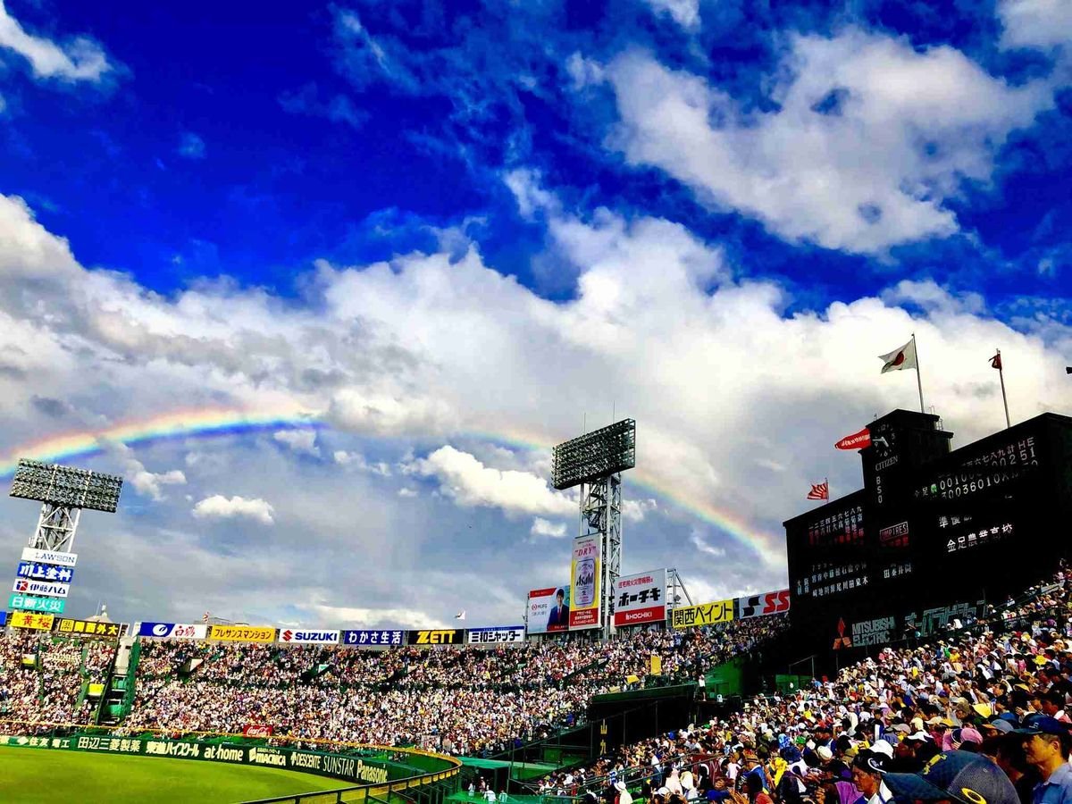 夏の甲子園はなぜ特別なのか——地方大会からの道のり